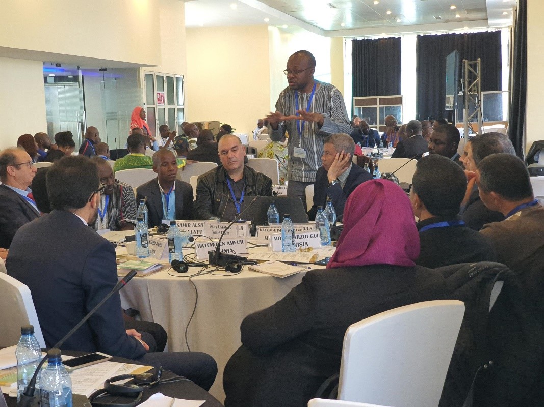 © 2020 AU-IBAR. Systemic Capacity Building Continental Workshop of Regional Livestock Value Chains. Work Session.