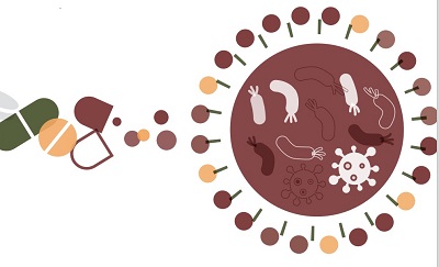 Cover page African Union Framework on AMR Control