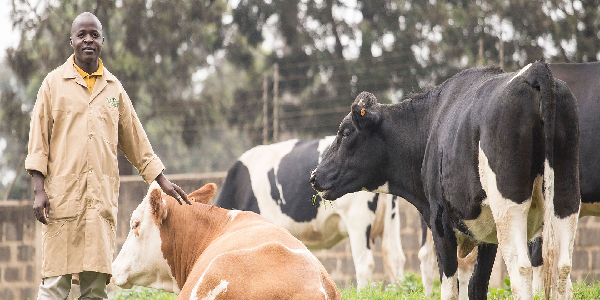 © AU-IBARAnimalHealth