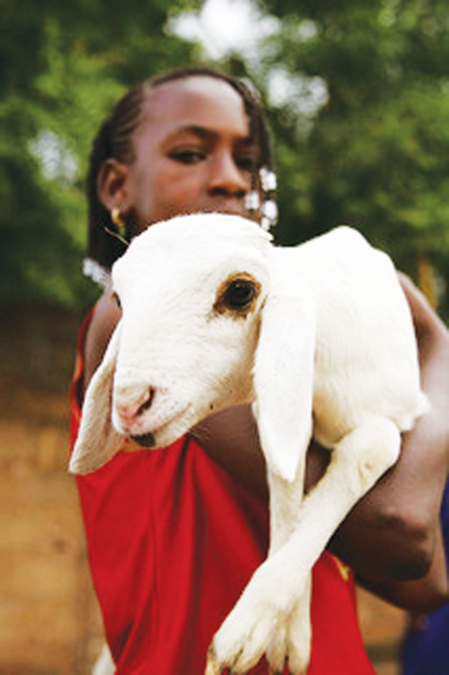(cc) ILRI. Illustrative Photo