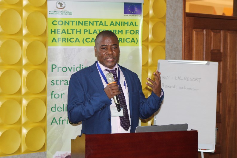 © 2019 AU-IBAR. One Voice to Catalyse Equitable Growth of the Livestock Sector through the harmonisation of key Livestock Policies (Picture 2). 