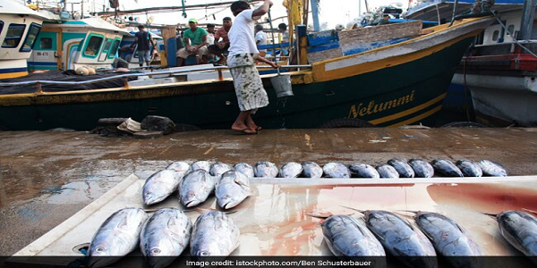 @AUIBARFisheries2