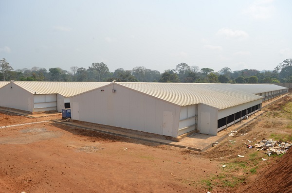 @AUIBAR2021CameroonFarm