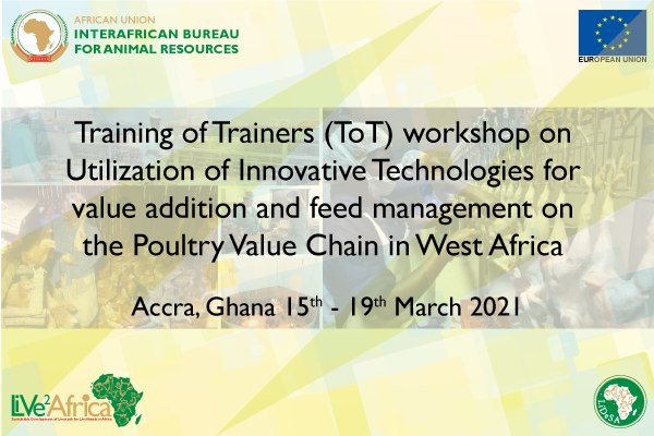 Poultry value chain