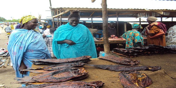 @AUIBARFisheries