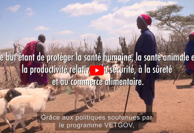 Le Programme VET-GOV de la