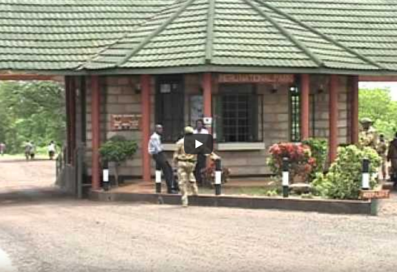 RINDERPEST ERADICATION IN KENYA