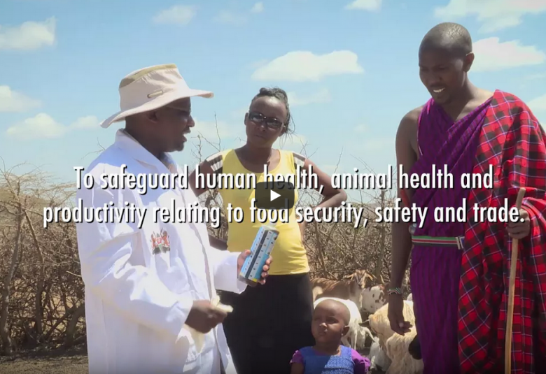 The Eastern African Comunity VET-GOV Program