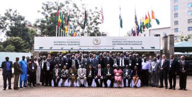 © 2017 AU-IBAR. African OIE Delegates Reach Common Positions on Animal Health Standards for the 85th General Session of OIE.