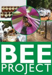 Bee project