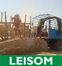LEISOM