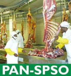 PAN-SPSO