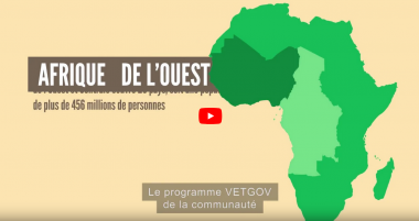 Le Programme VET-GOV