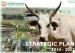 AU-IBAR Strategic Plan 2014-2017
